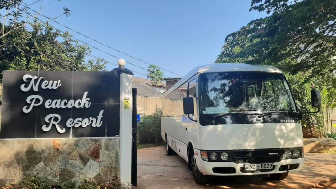 New Peacock Resort Dambulla Eksteriør bilde