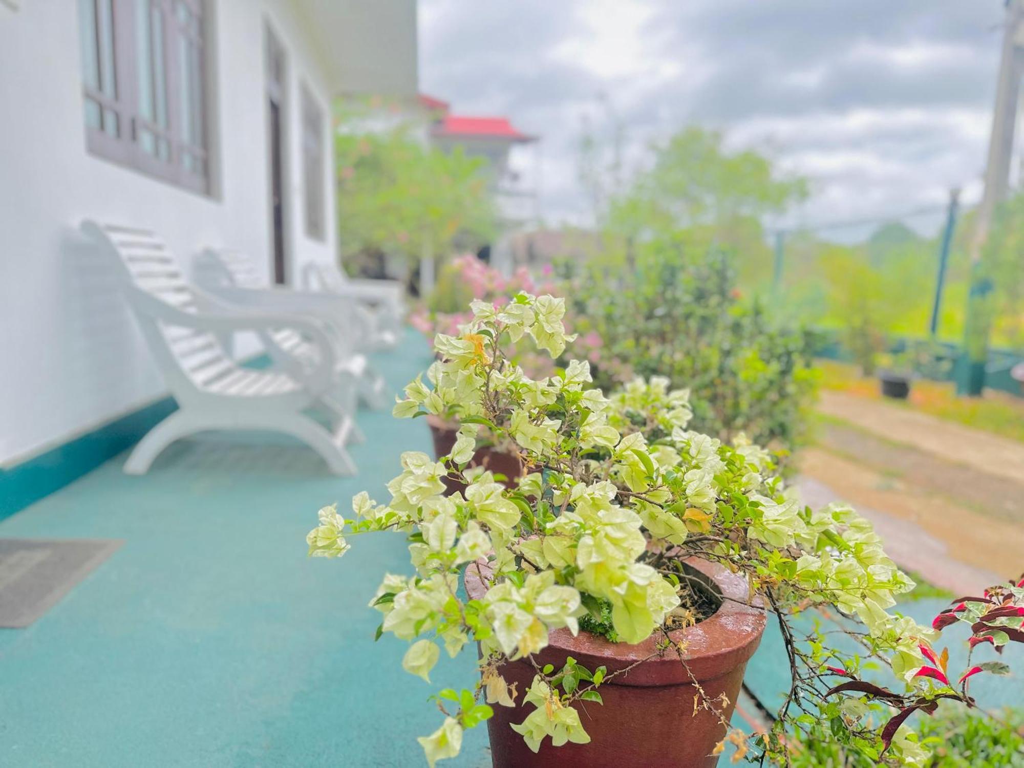 New Peacock Resort Dambulla Eksteriør bilde