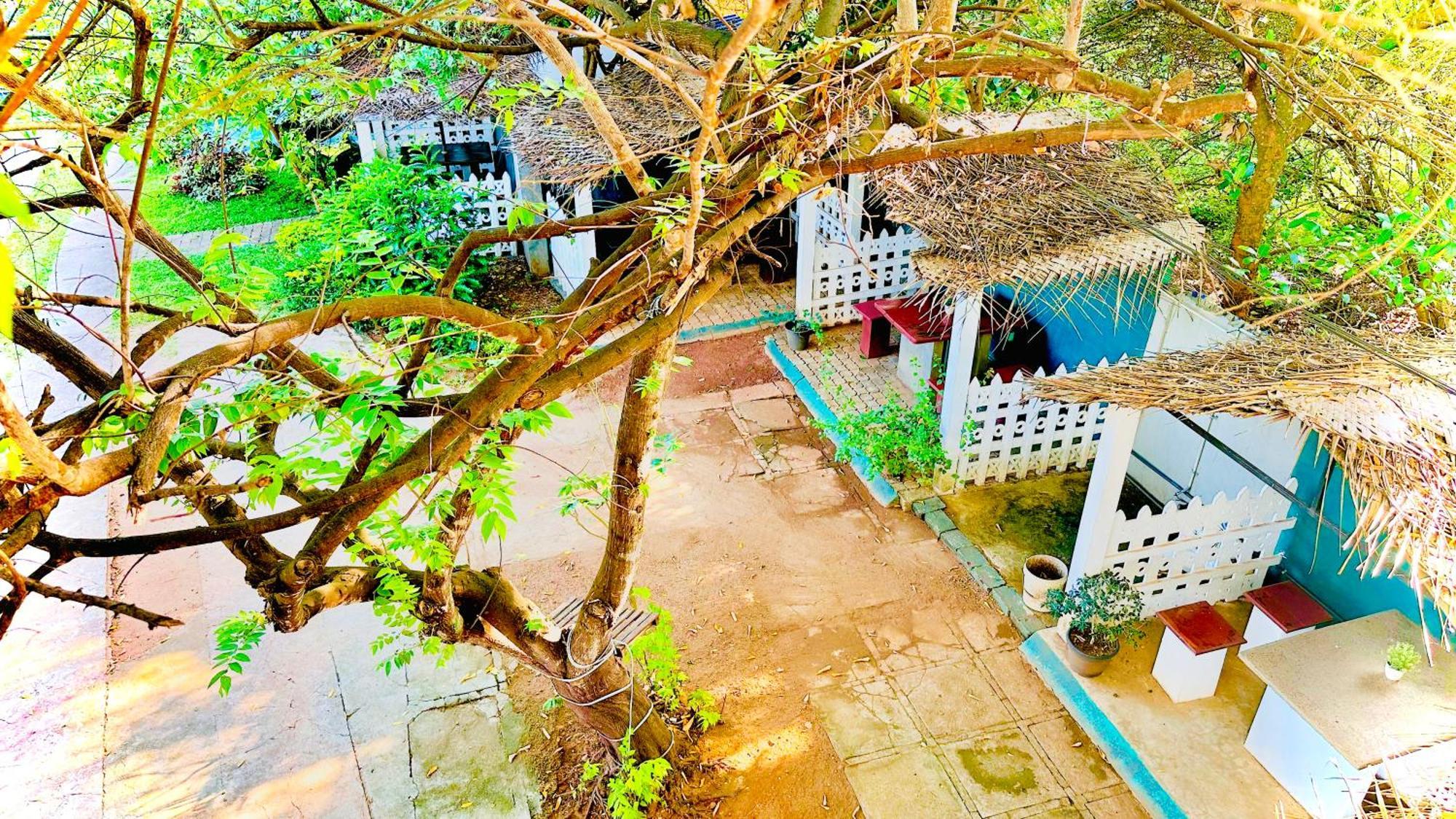 New Peacock Resort Dambulla Eksteriør bilde